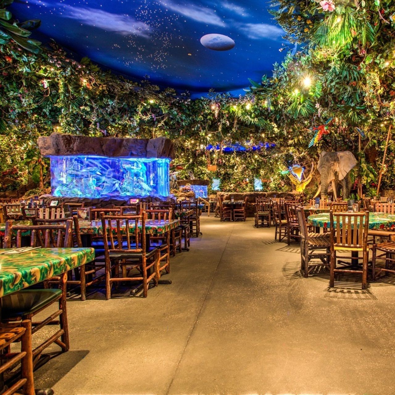Rainforest Cafe
