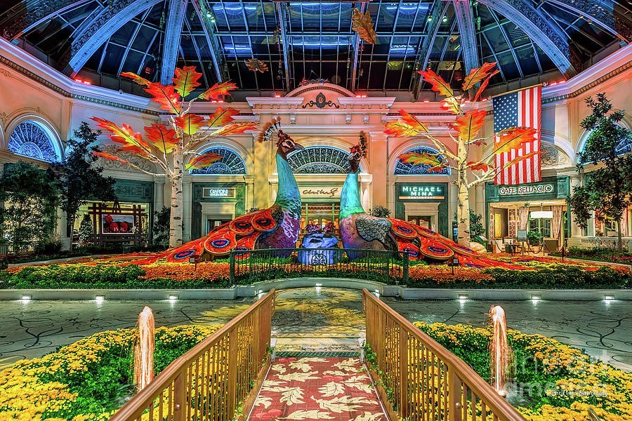 Take A Look Around The Bellagio Conservatory and Botanical Gardens