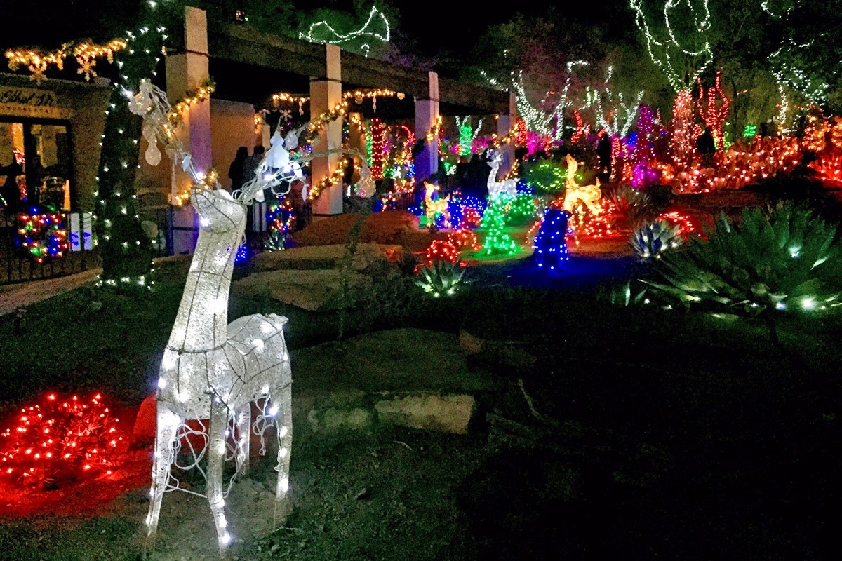 Tour the Ethel M Cactus Garden