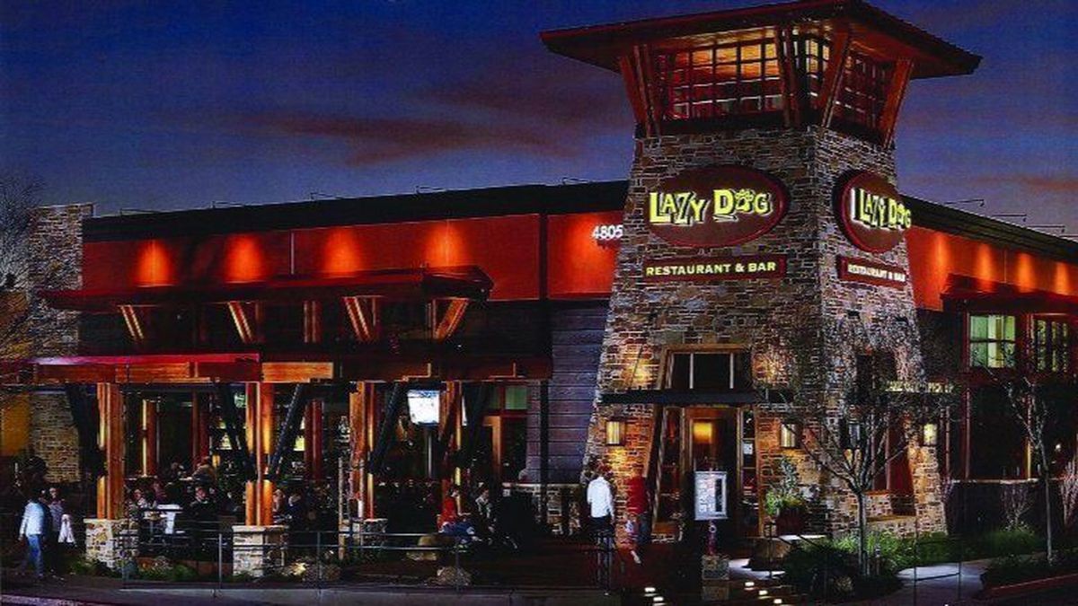 Lazy Dog Restaurant &amp; Bar
