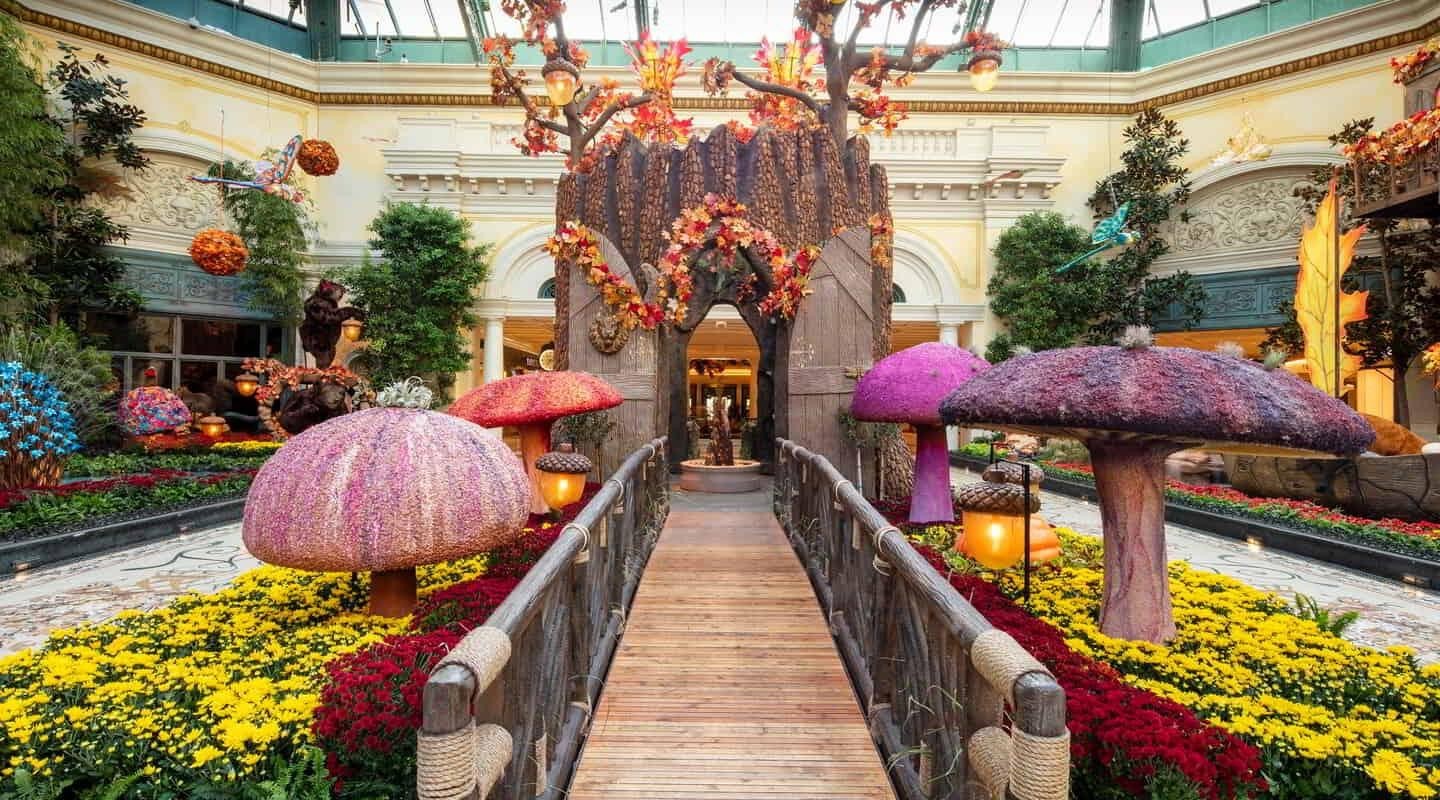 Bellagio Conservatory Holiday Display