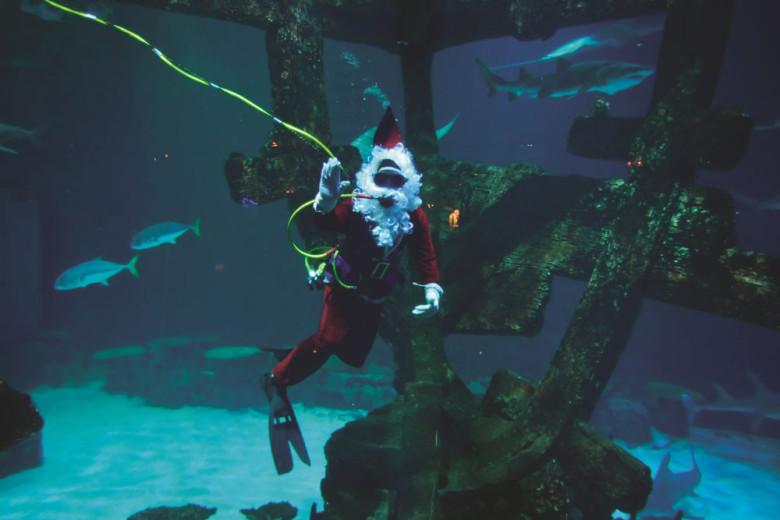 Mandalay Bay – Santa in the Shipwreck at Shark Reef Aquarium