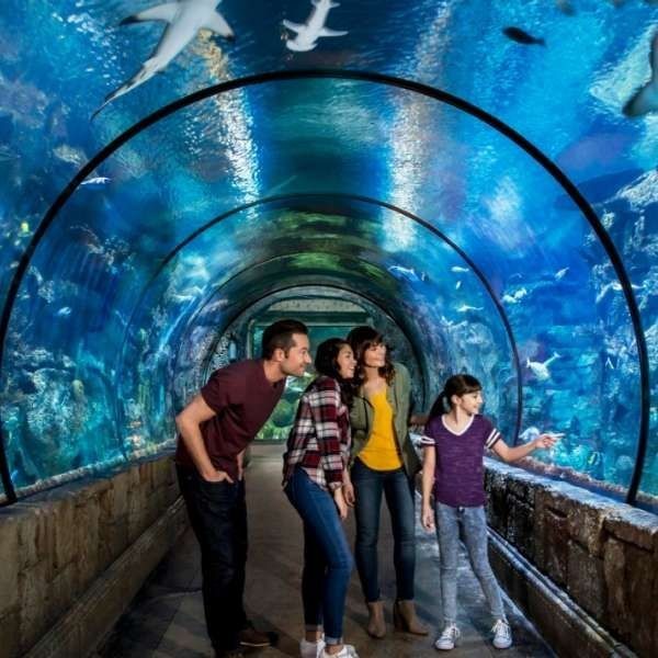 Where to Take Your Kids in Las Vegas