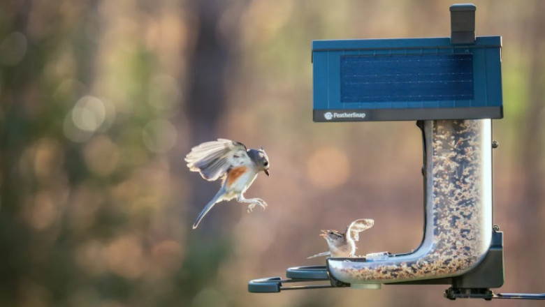 CES 2026 Is for the Birds — and That’s a Compliment