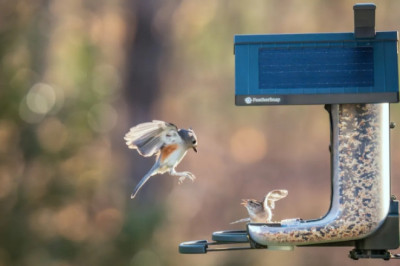 CES 2026 Is for the Birds — and That’s a Compliment