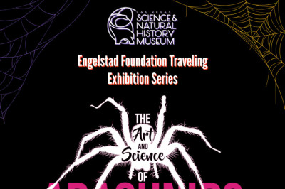 Las Vegas Natural History Museum Hosts America's Largest Arachnid Exhibit